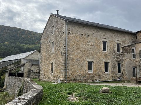 photo no. 16