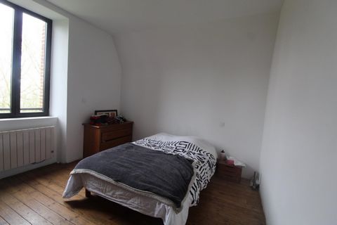photo no. 8