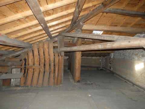 photo no. 8