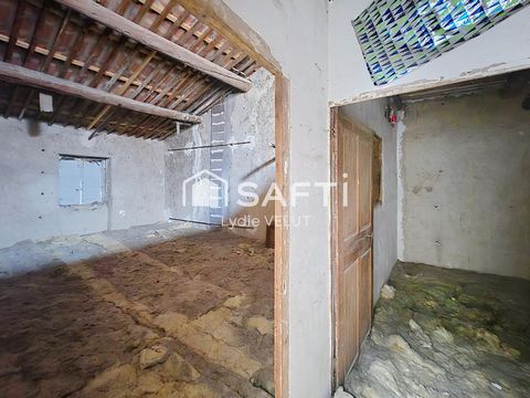 photo no. 10