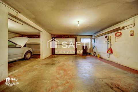photo no. 12