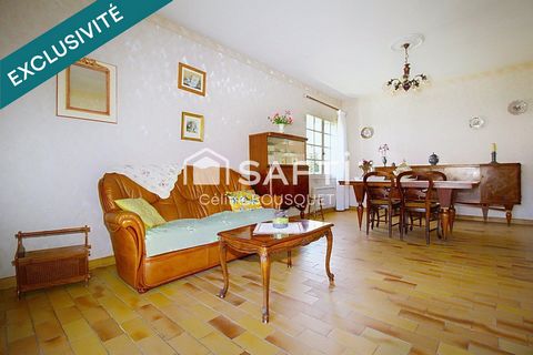photo no. 2