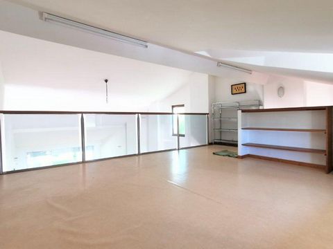 photo no. 13