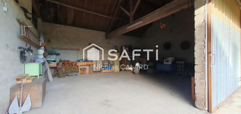 photo no. 12