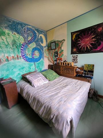 photo no. 8