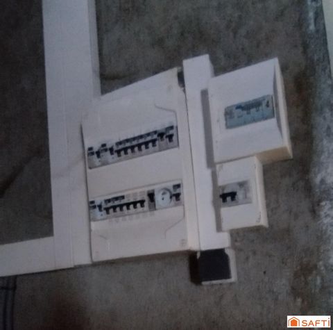 photo no. 19