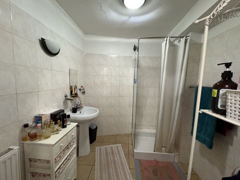 photo no. 7