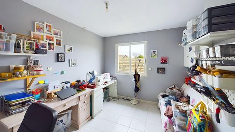 photo no. 6