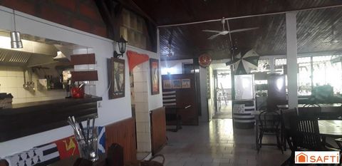 photo no. 10