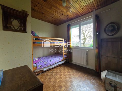 photo no. 5