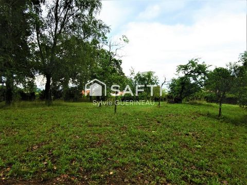 photo no. 2