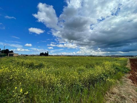 Nueva finca a la venta en Sa Pobla, en parcela de 18.671m2. El terreno es edificable, y cuenta con una caseta de unos 200 m2. La finca está provista luz y de agua y ofrece unas vistas despejadas al campo. Situada en un ambiente tranquilo, en el que p...