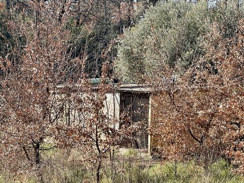photo no. 2