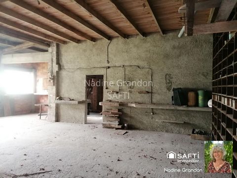 photo no. 16