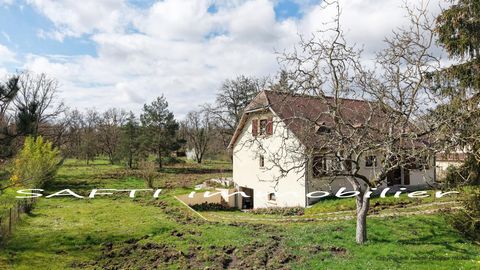 photo no. 19