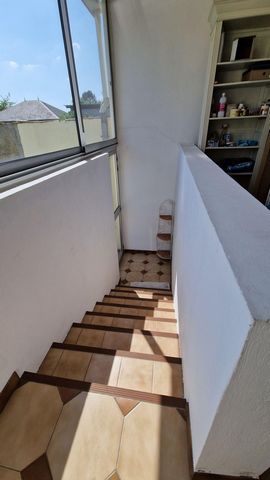 photo no. 11