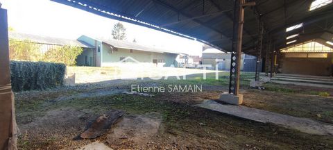 photo no. 9