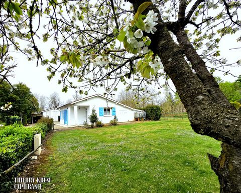 Maison quatre pièce, proche de CASTELSARRASIN (82), plain-pied, garages, sur parcelle de 2636m²