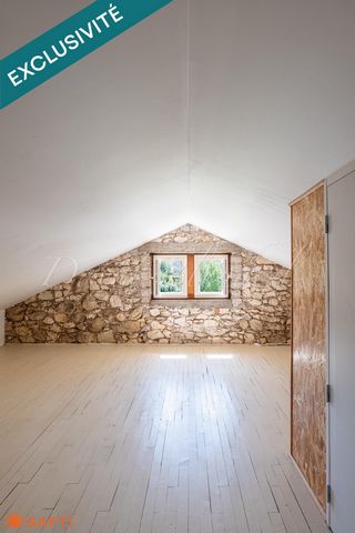photo no. 16