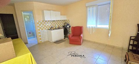 photo no. 11