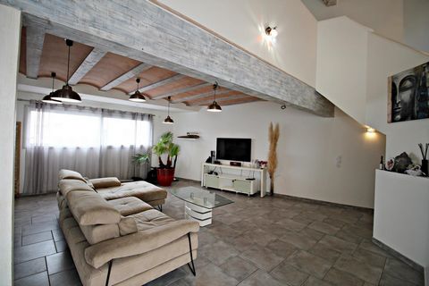 photo no. 12