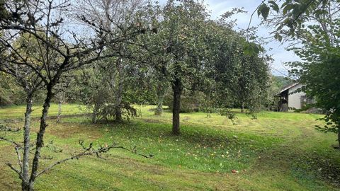 photo no. 2