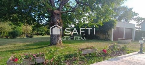 photo no. 12