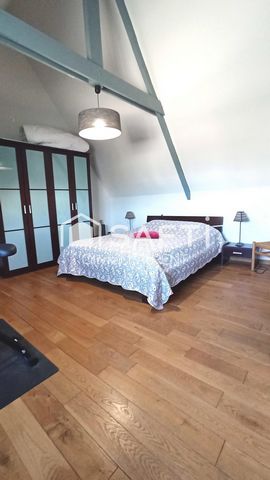 photo no. 11