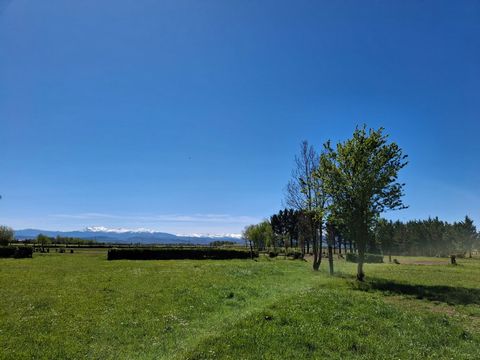 photo no. 1