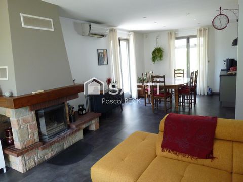 photo no. 10