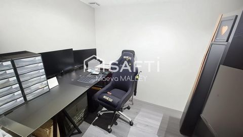 photo no. 6
