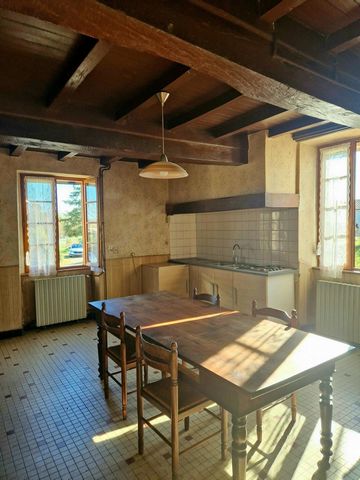 photo no. 4