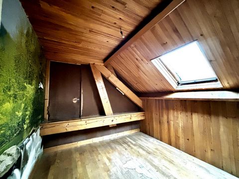 photo no. 11