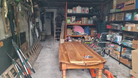 photo no. 16