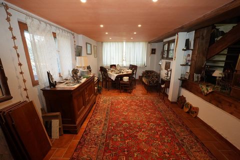 photo no. 5