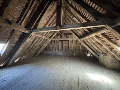 photo no. 15