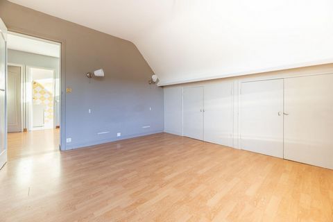 photo no. 11
