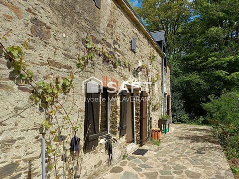 photo no. 11