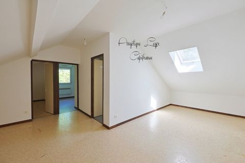 photo no. 1