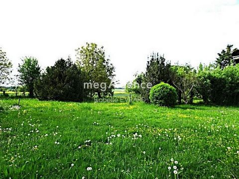 photo no. 5