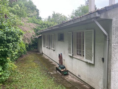 photo no. 2