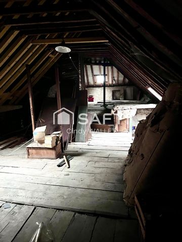 photo no. 12