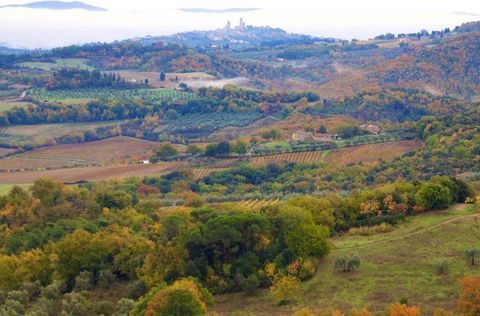 Questa splendida casa lontano da casa dispone di 4 camere da letto e può ospitare fino a 12 persone, perfetta per famiglie o gruppi in cerca di un tranquillo rifugio toscano. Situata sulle colline della campagna pisana, la proprietà è composta da due...