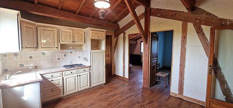 photo no. 18