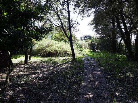 photo no. 1