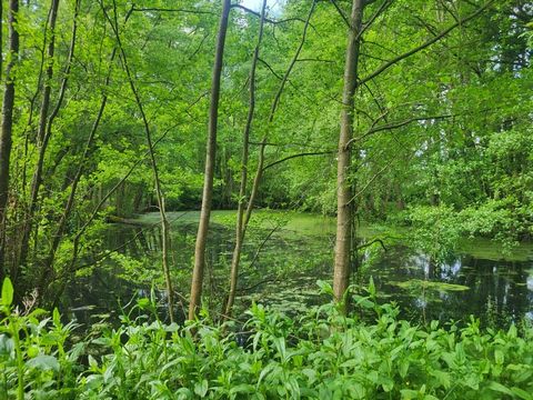 Terrain de Loisirs avec ETANG et bois à vendre GLENAY (79) 4985 m²