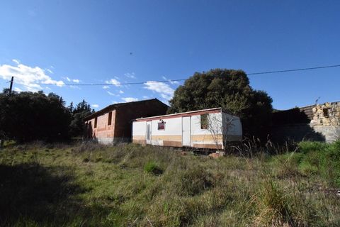 photo no. 1