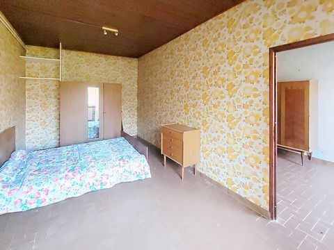 photo no. 7