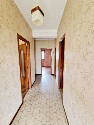photo no. 6