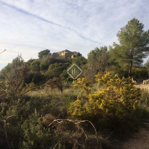 Immense 440-hectare country estate, set in the wonderful rolling hills of Alt Penedès wine-growing region, 25 minutes from Sitges and just an hour south of Barcelona City. The estate contains the ruins of a XVIIth century masia occupying approximatel...